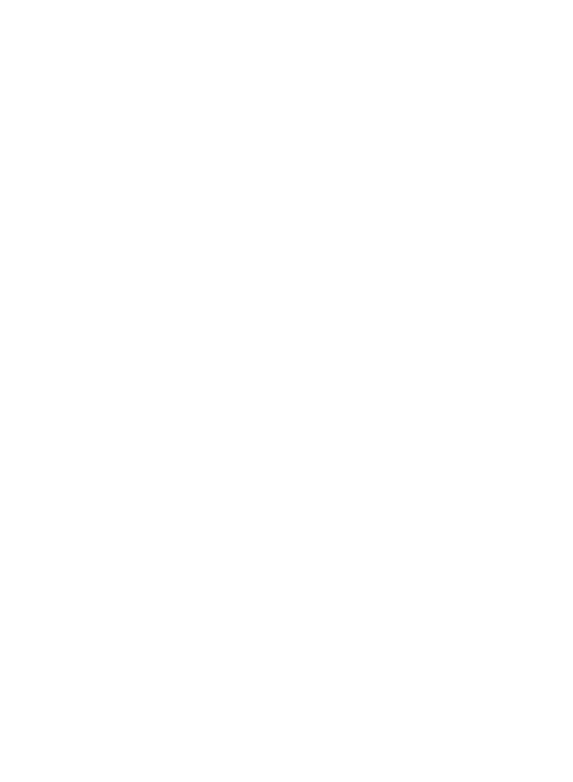 Jordan Strength Curl Bar - 2 Needle Bearings